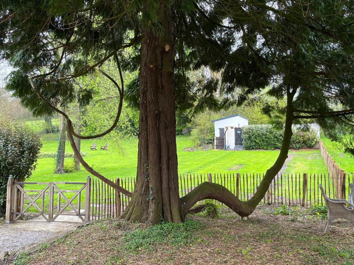 Domaine De La Course Bed & Breakfast Doudeauville Dış mekan fotoğraf